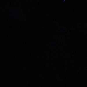 Meet your Posher, Garrett